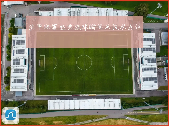 法甲联赛经典救球瞬间及技术点评