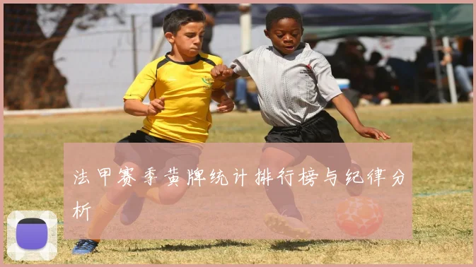 法甲赛季黄牌统计排行榜与纪律分析