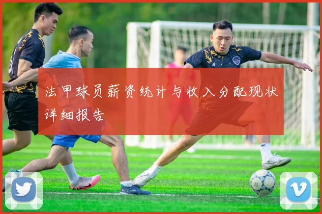 法甲球员薪资统计与收入分配现状详细报告