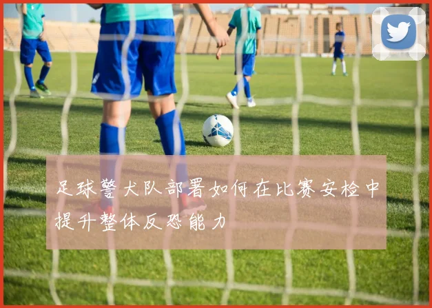 足球警犬队部署如何在比赛安检中提升整体反恐能力