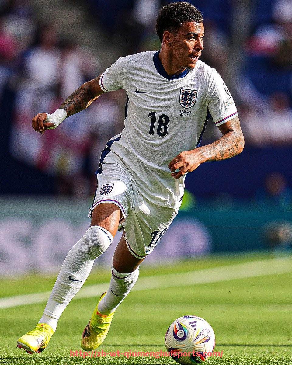 球盟会官网-最新赛季德甲各支球队最新排名及积分变化